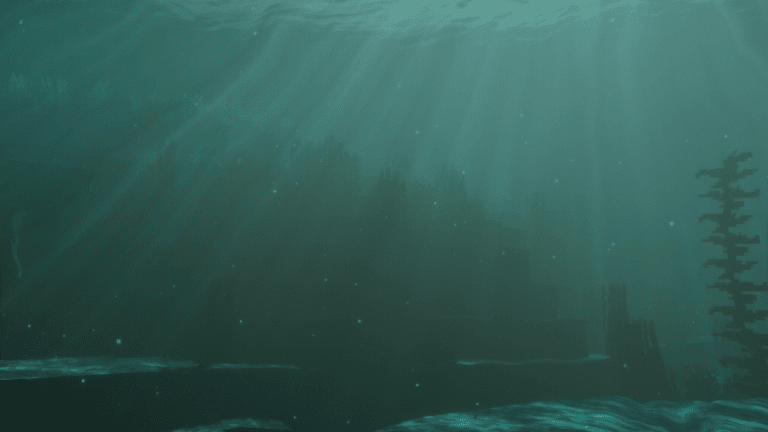 水中の光と視界